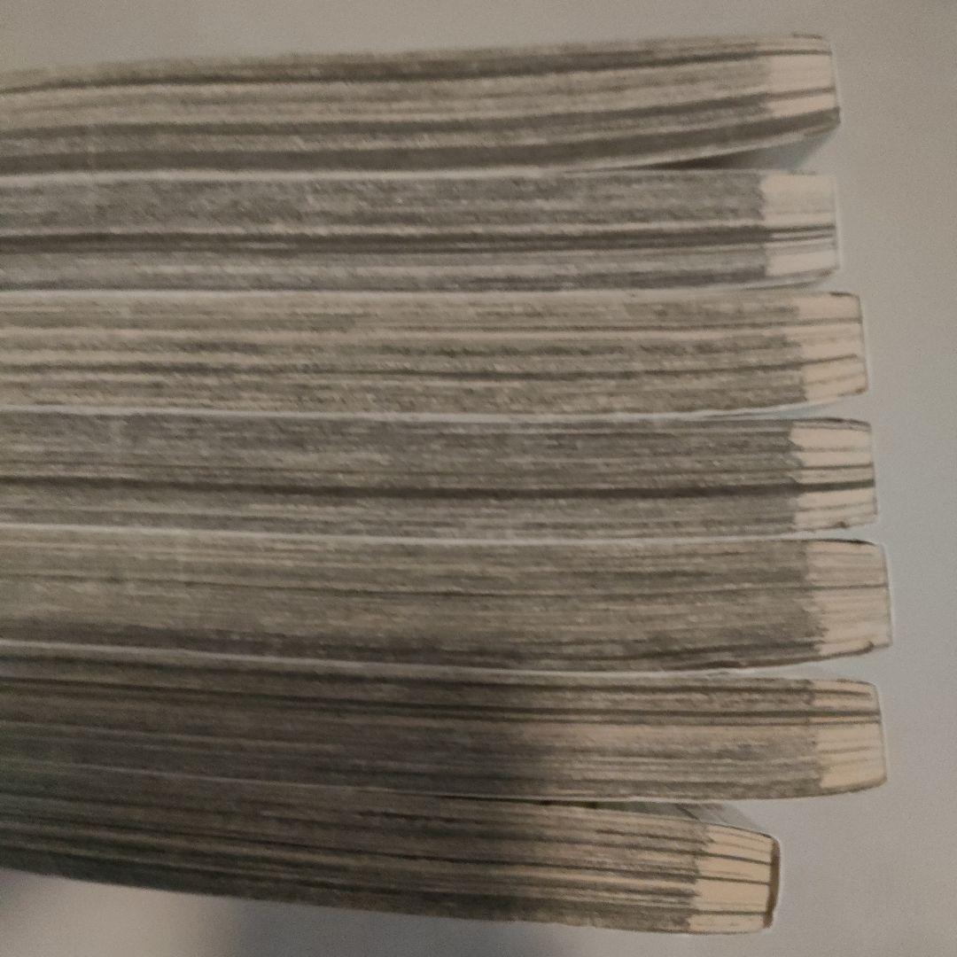 ニワトリ・ファイター　ROOSTER FIGHTER　英語　桜谷シュウ