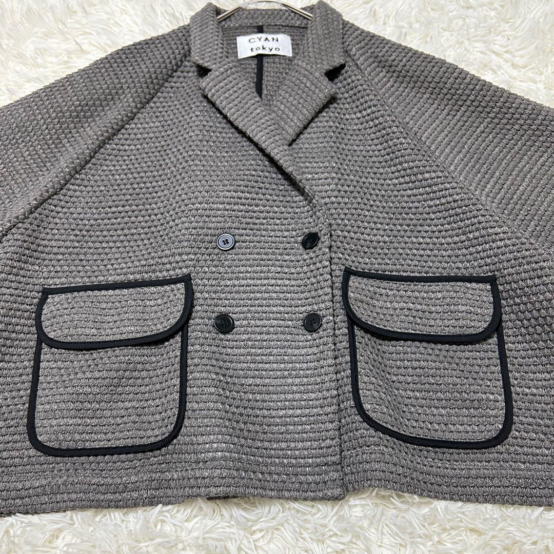 シアントーキョー　BIGワッフルトリミングドルマンJK グレー　25AW フリー