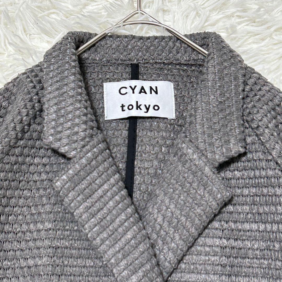 シアントーキョー　BIGワッフルトリミングドルマンJK グレー　25AW フリー