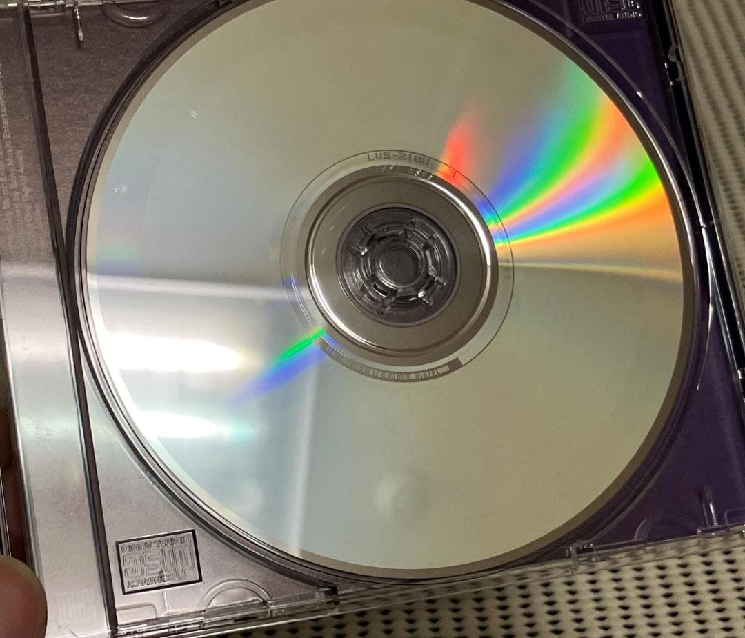 市川実和子 / Pinup Girl