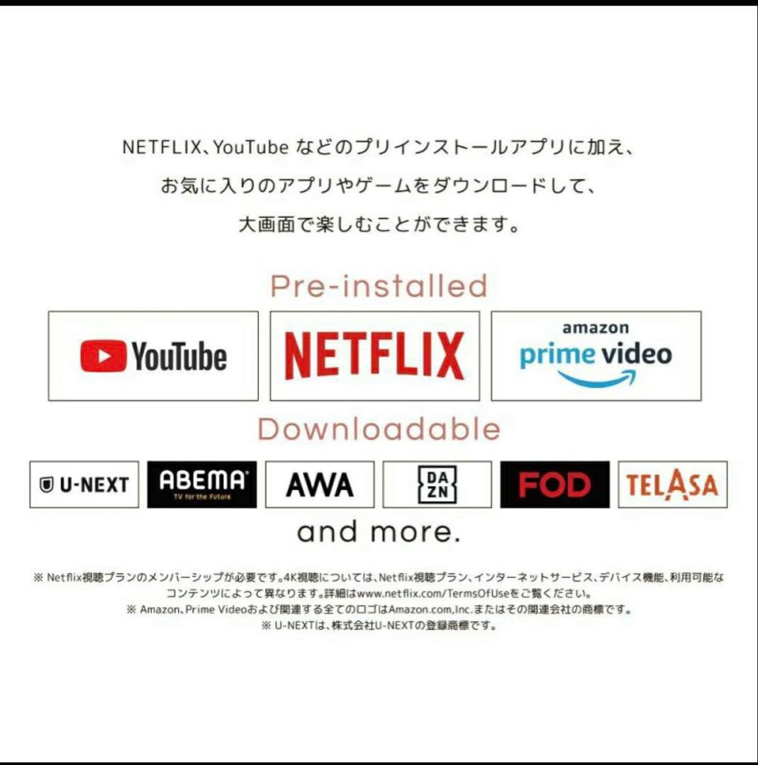 ORION オリオン ポータブルスマートディスプレイ 24V型