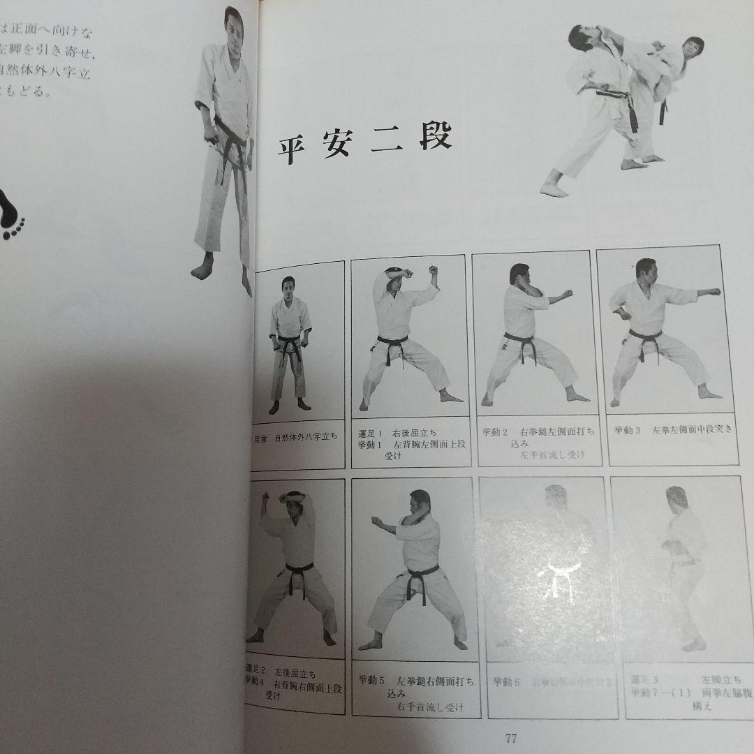 浅井哲彦 実技 空手道 基本形 空手 松濤館 拳法 武術 護身術