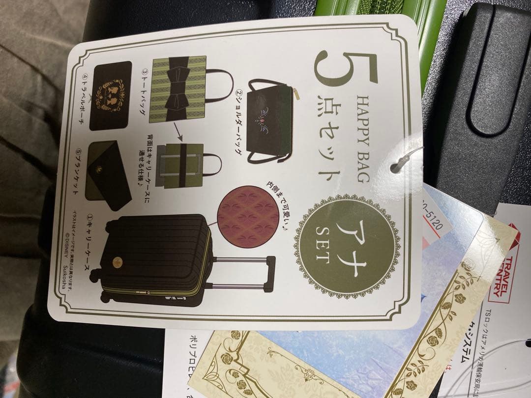 ディズニー　アナキャリーケース 5点セット　しまむら　ちはる