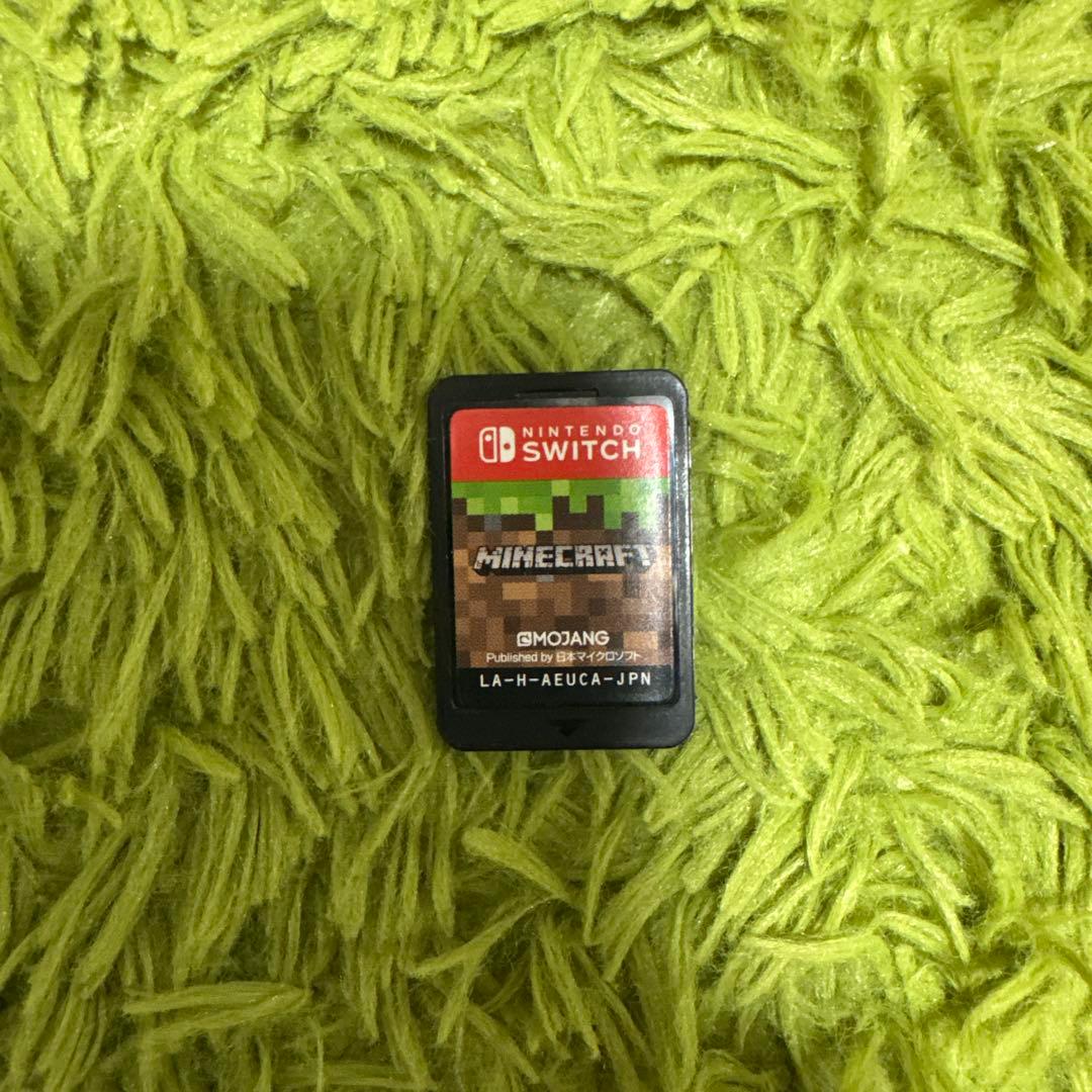 Nintendo Switch Lite グレー ゲームカード付き