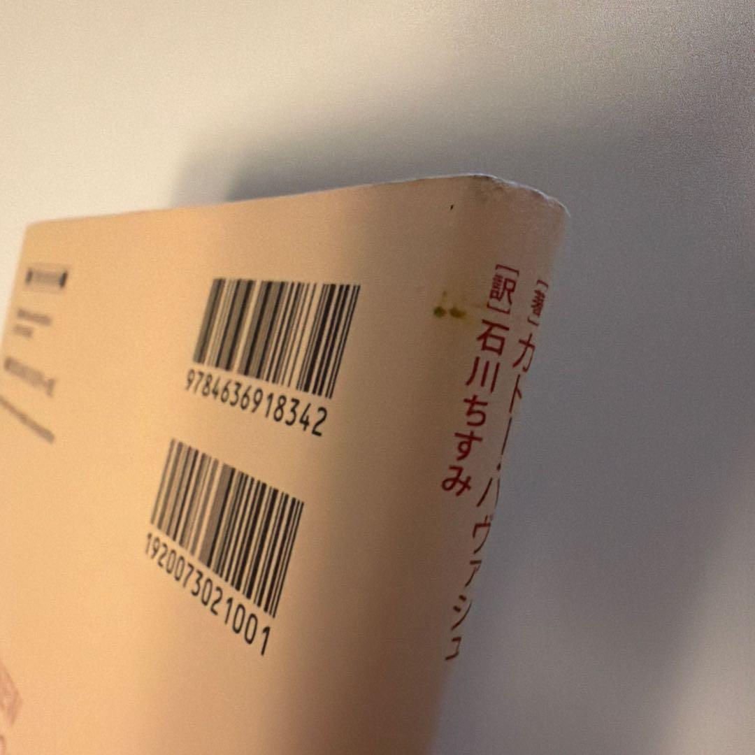 ハヴァシュ・バイオリン奏法 力みをとり、あがりを克服するアプローチ