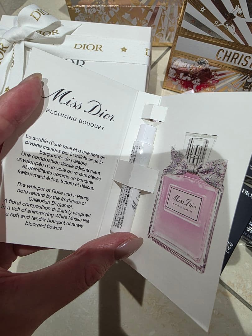 ホリデーコレクション限定オファー ハイライト ハイライター リップ ポーチ