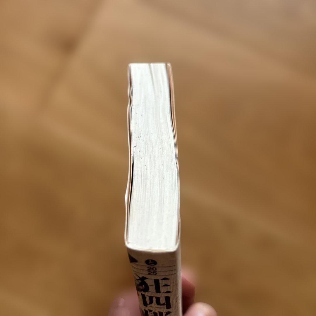 狂四郎2030 文庫版 全14巻セット