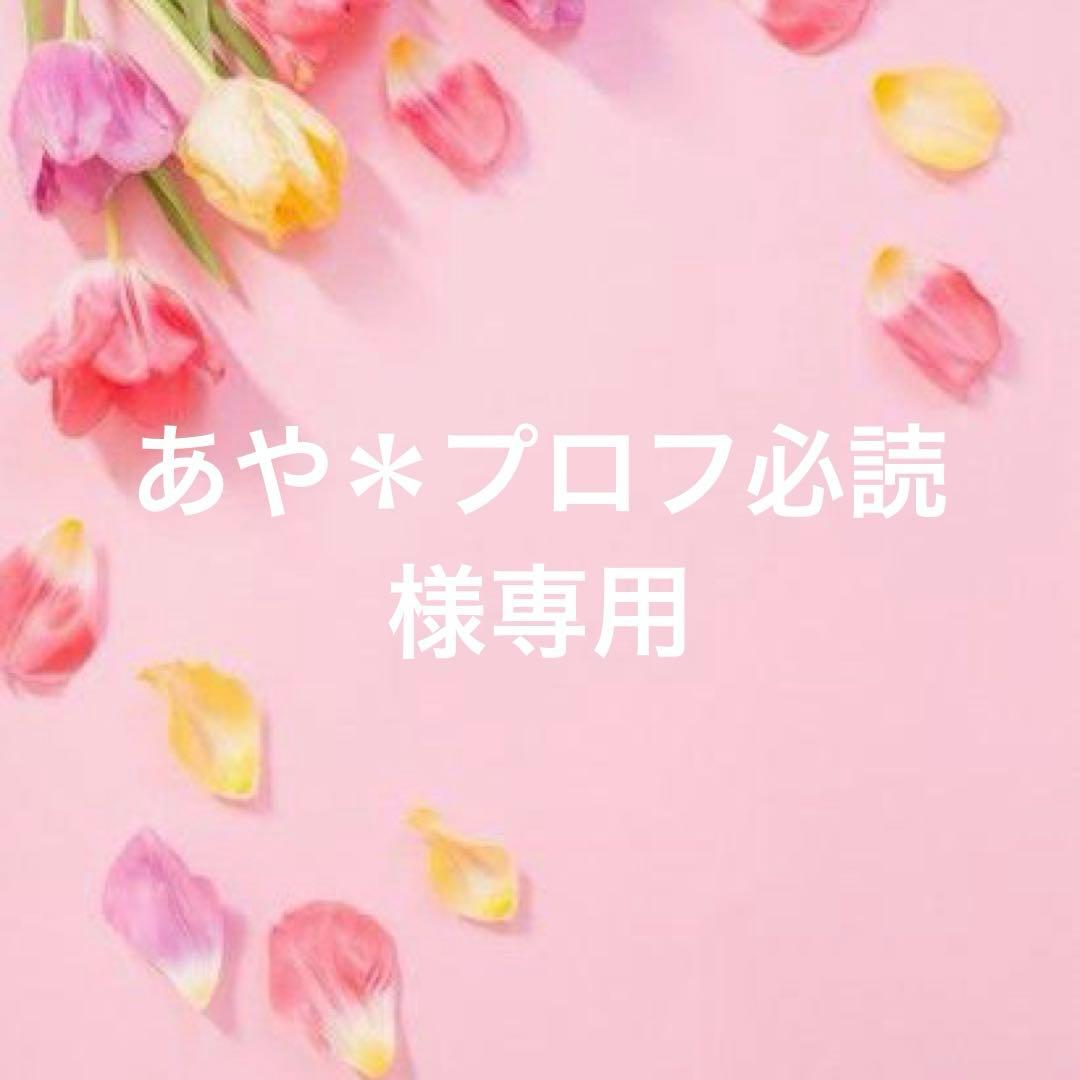 あや＊プロフ必読