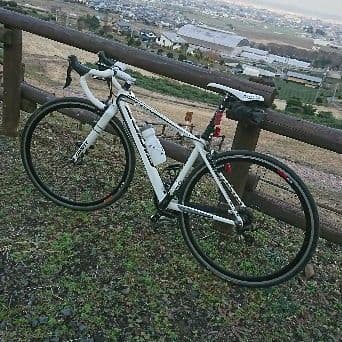 GIANT TCR0 カスタム 2015 XS ロードバイク