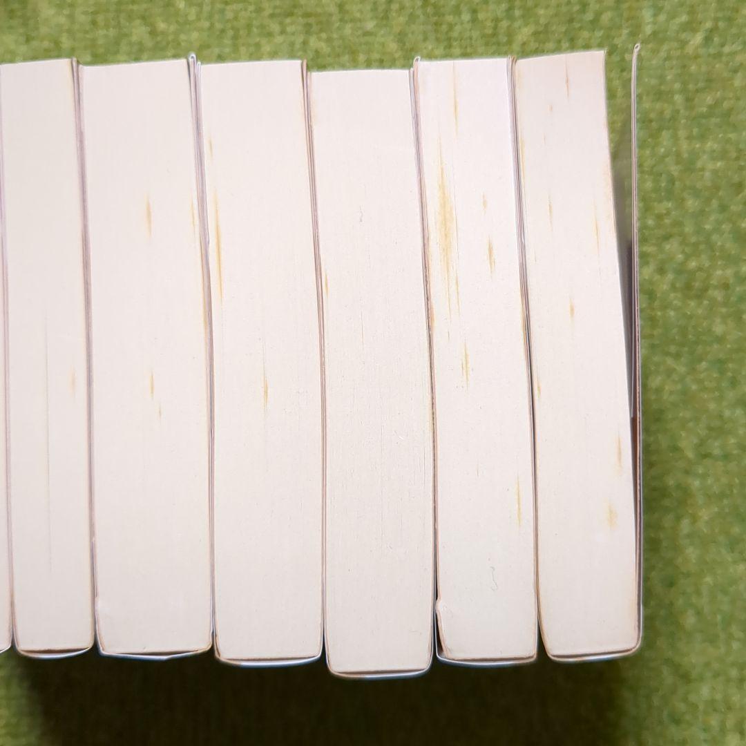 南総里見八犬伝 曲亭馬琴 岩波文庫 全10巻セット 箱入