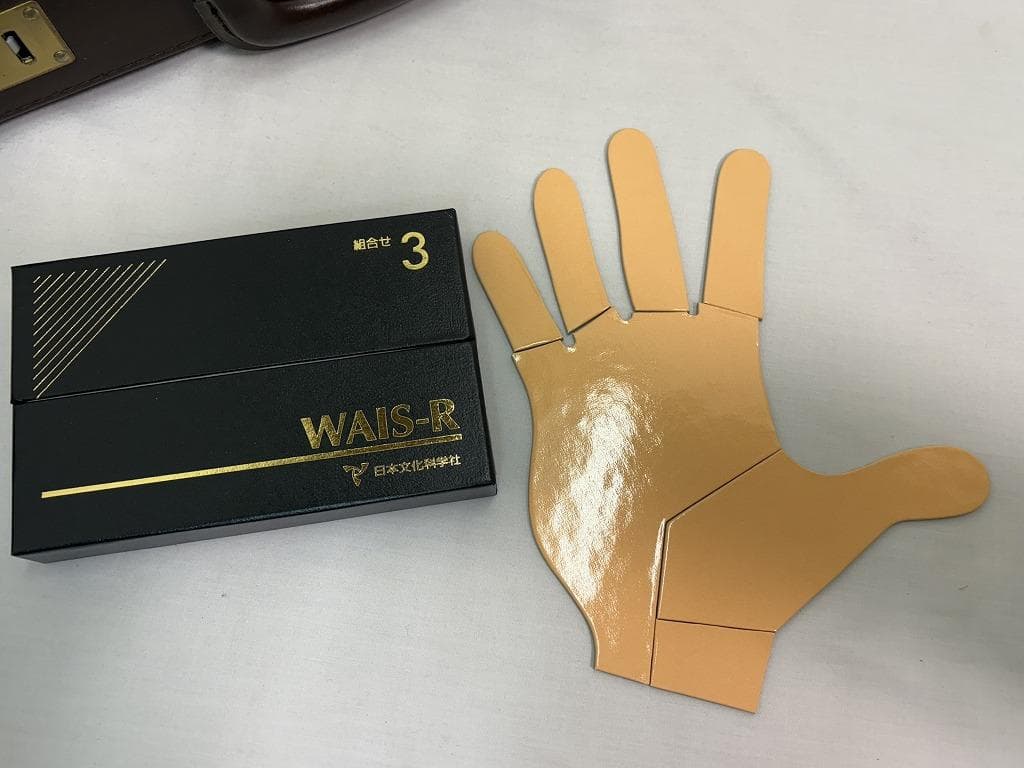 t*n様 日本文化科学社 成人知能検査 WAIS-R 積木 絵画 配列 組み合せ