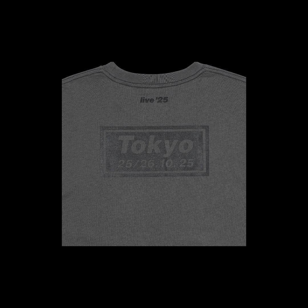 Oasis \"Tシャツ 富士\"【日本限定】Mサイズ