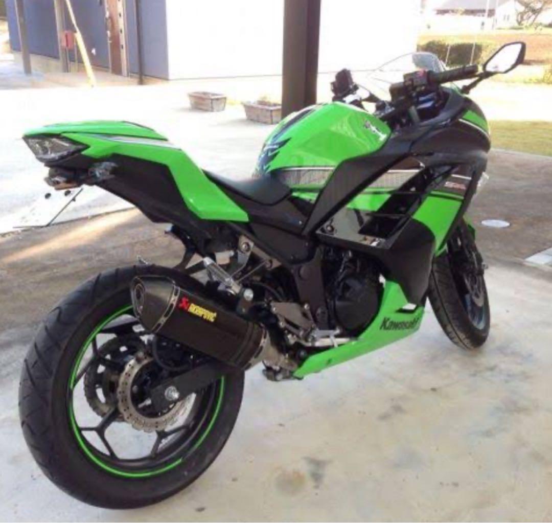 AKRAPOVIC Ninja250 Z250(13〜17年)アクラポピッチ