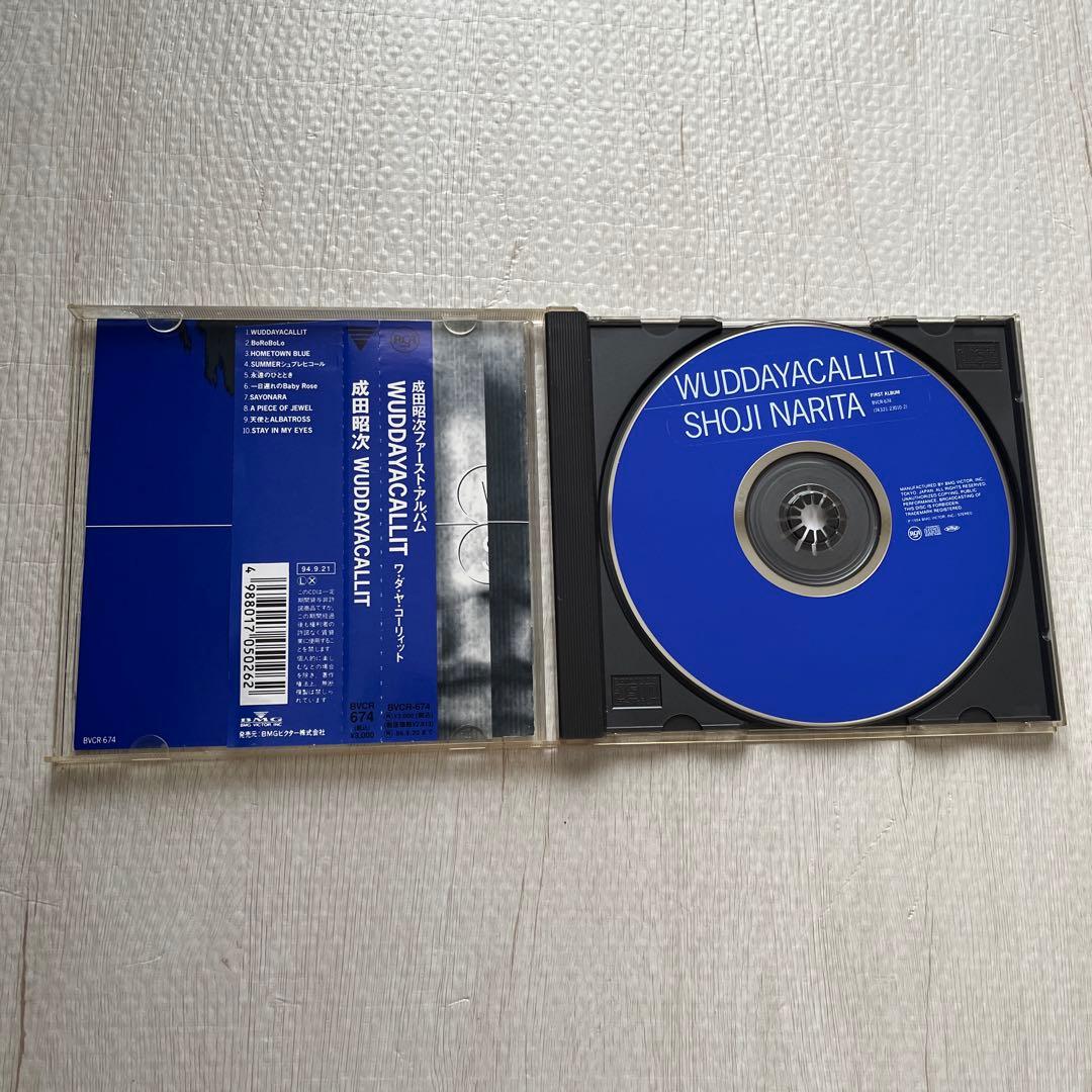 成田昭次/WUDDAYACALLIT Jack in the BOX.