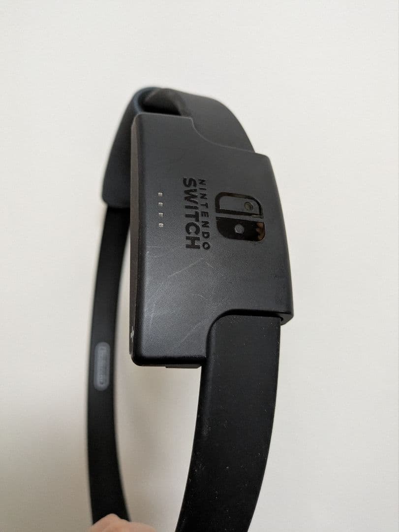 Fit Boxing 3 & Ring Fit Adventure セット