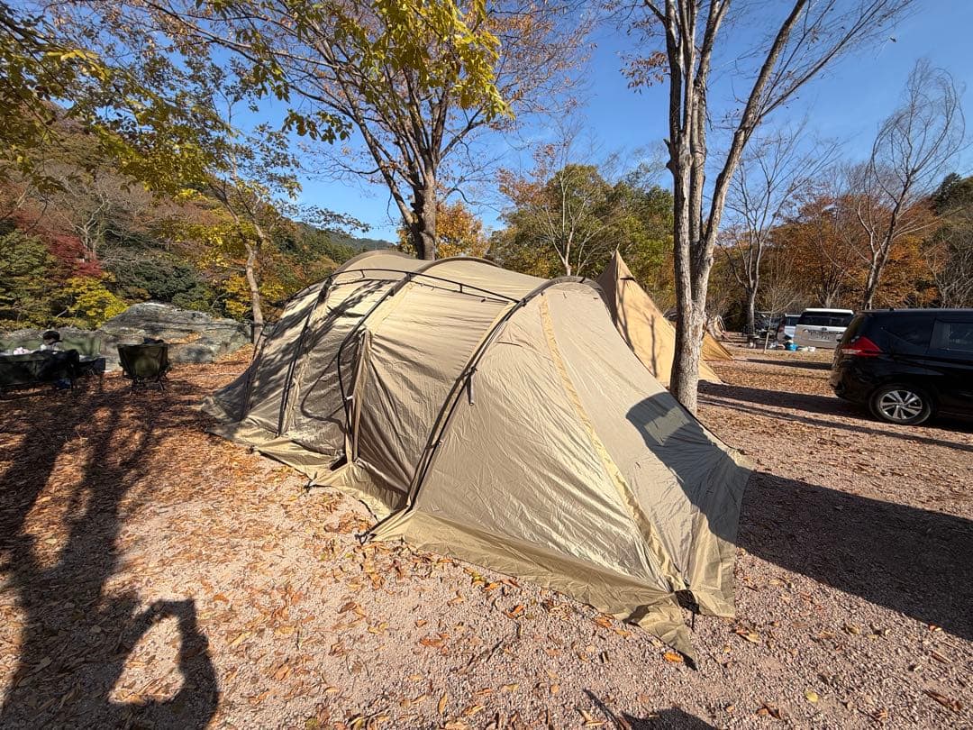 ★12/31発送までお値下げ★サバティカル　アルニカ　すぐ使える　ツールーム