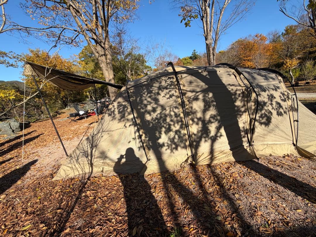 ★12/31発送までお値下げ★サバティカル　アルニカ　すぐ使える　ツールーム