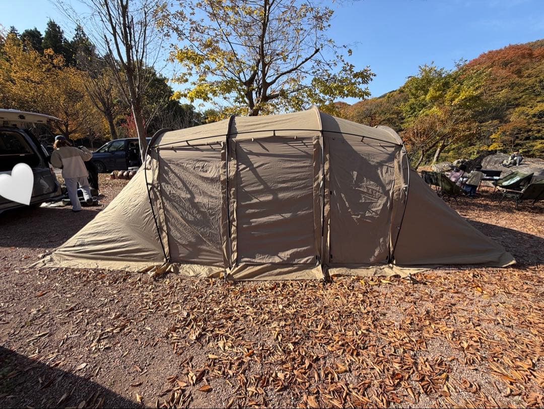 ★12/31発送までお値下げ★サバティカル　アルニカ　すぐ使える　ツールーム