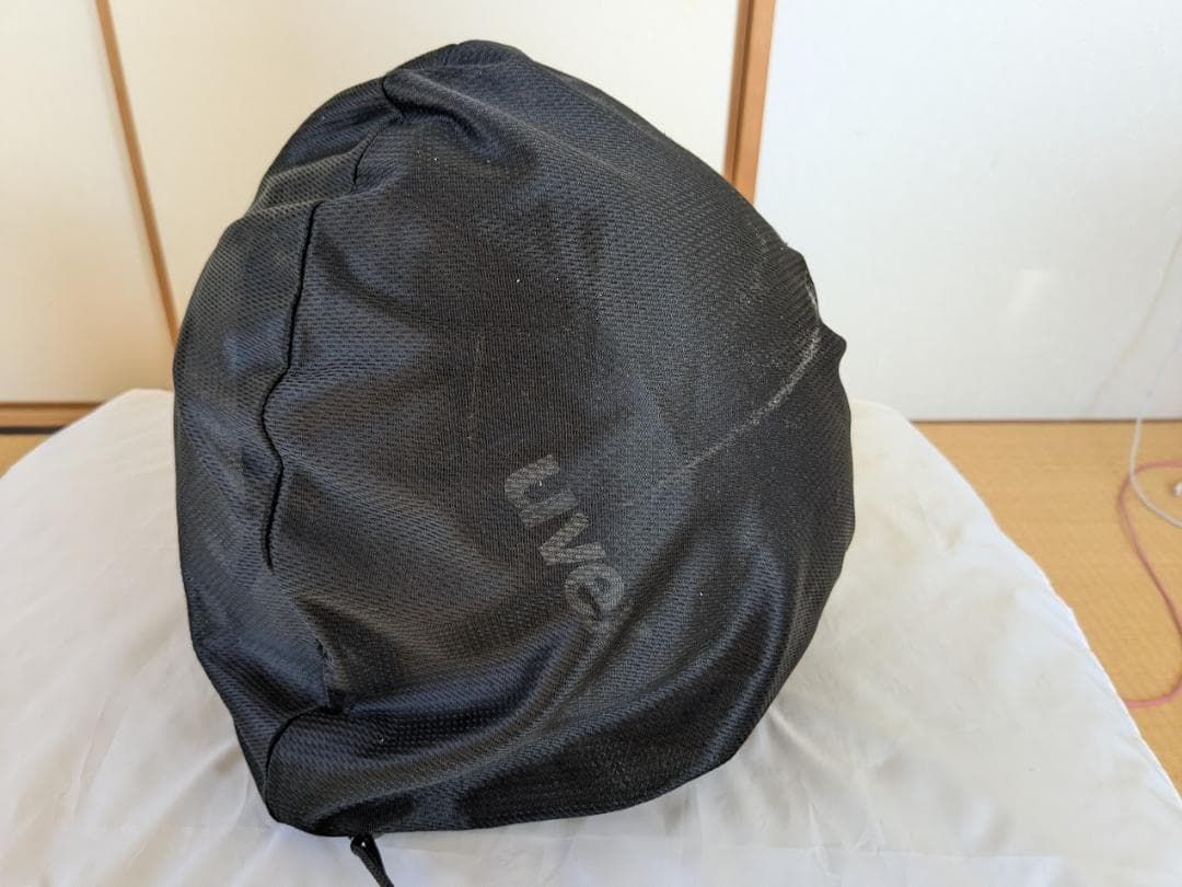 UVEX スキー用ヘルメット　FIS対応