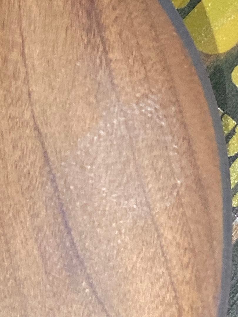 ウッドピボットフィン（訳あり）