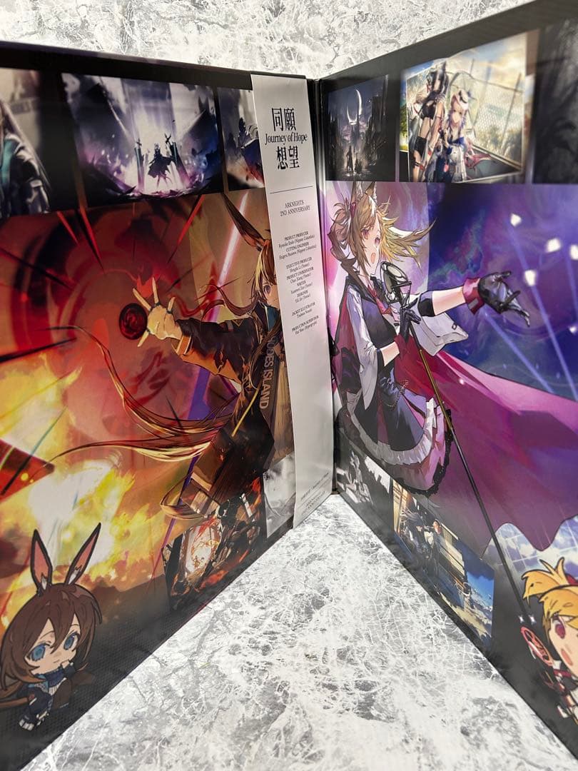 LPレコード　アークナイツ2周年記念アナログレコード「同願想望」[帯付]