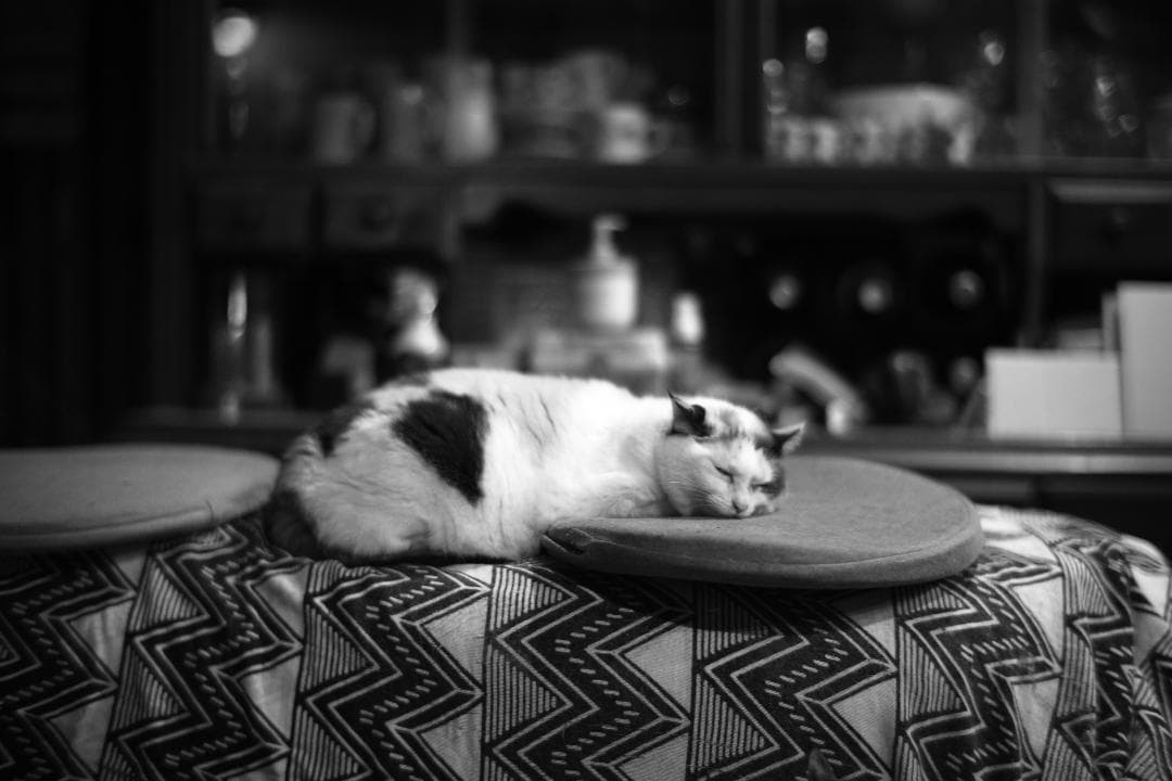 中一光学　M0.95/50mm SPEEDMASTER及びプロテクトフィルター