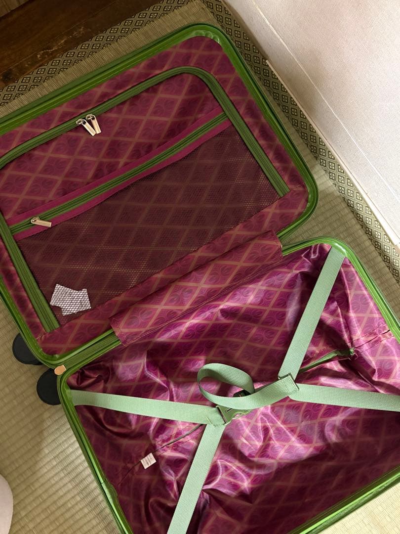 アナ雪　キャリーケース　アナ