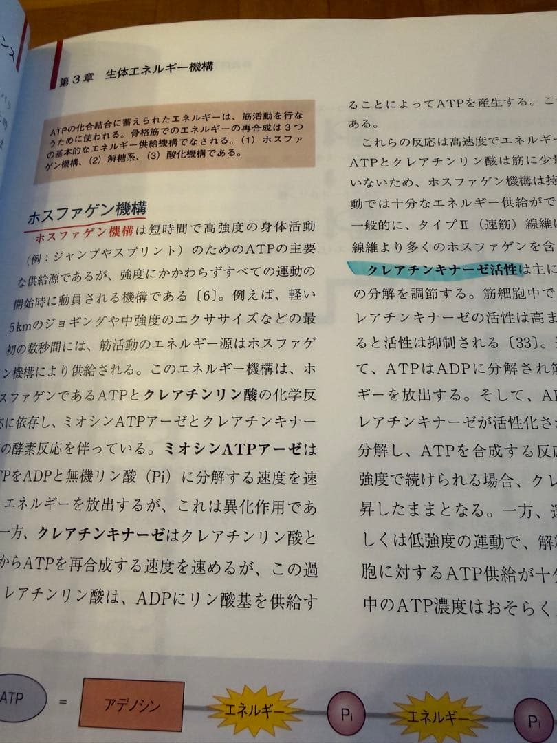 NSCAパーソナルトレーナーのための基礎知識 第2版