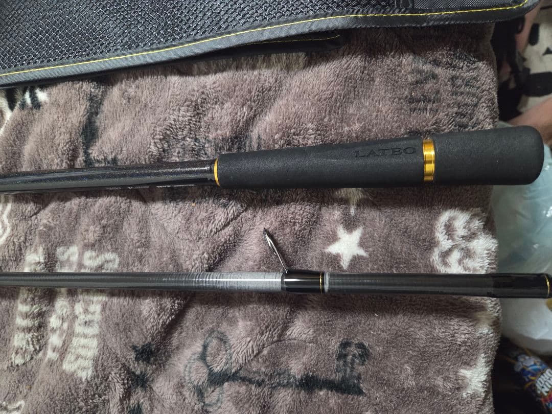 ロッド Daiwa 24LATEO 100MH