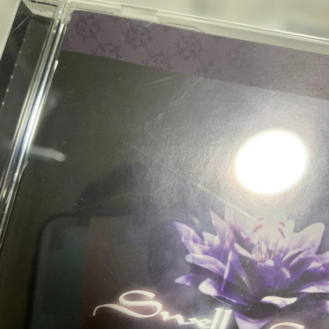 アニメ onoken Swell Strings