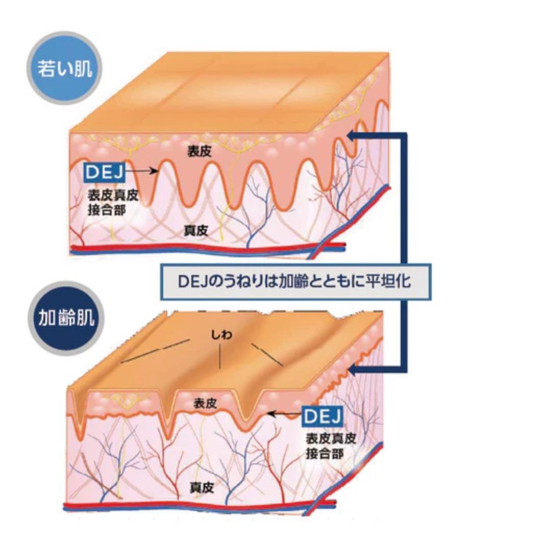 リビジョンDEJフェイスクリーム