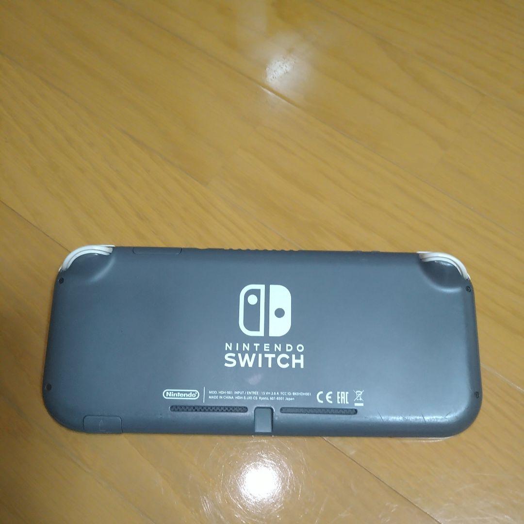 Nintendo Switch Lite グレー 充電器・ケース付き
