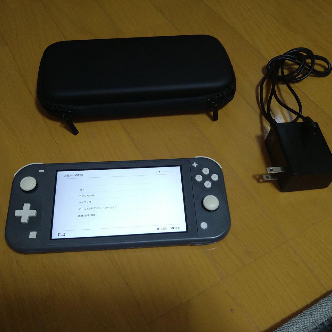 Nintendo Switch Lite グレー 充電器・ケース付き