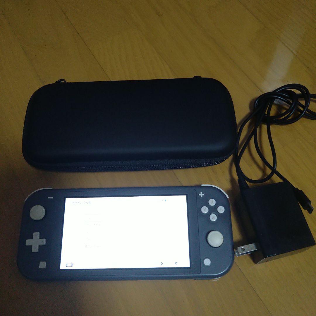 Nintendo Switch Lite グレー 充電器・ケース付き