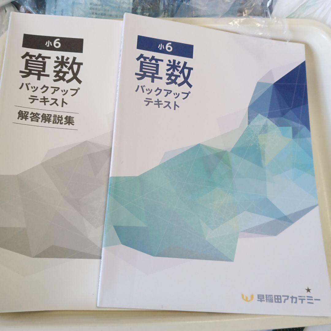 早稲田アカ　バックアップテキスト　算数
