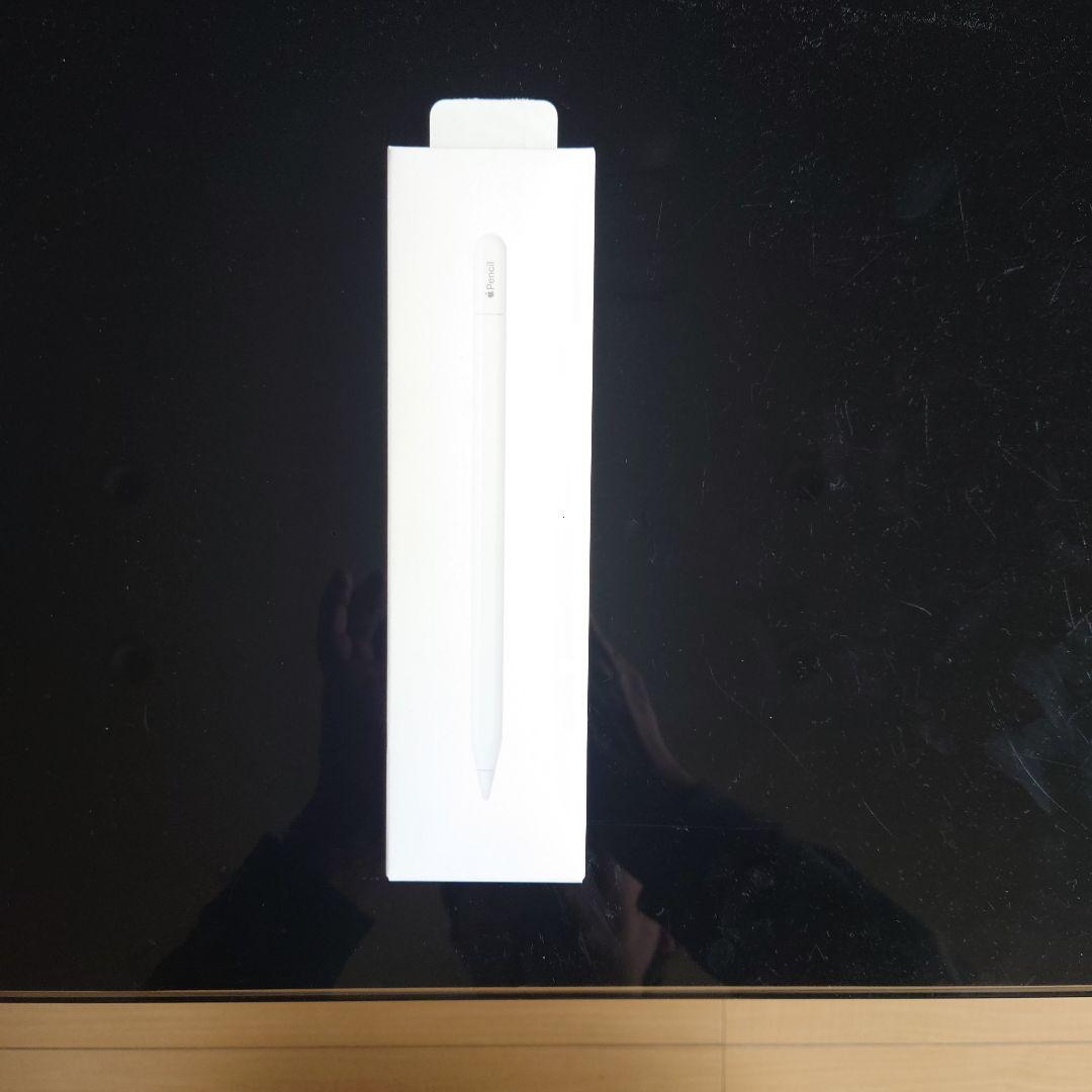 iPadアクセサリー Apple Pencil (USB-C)