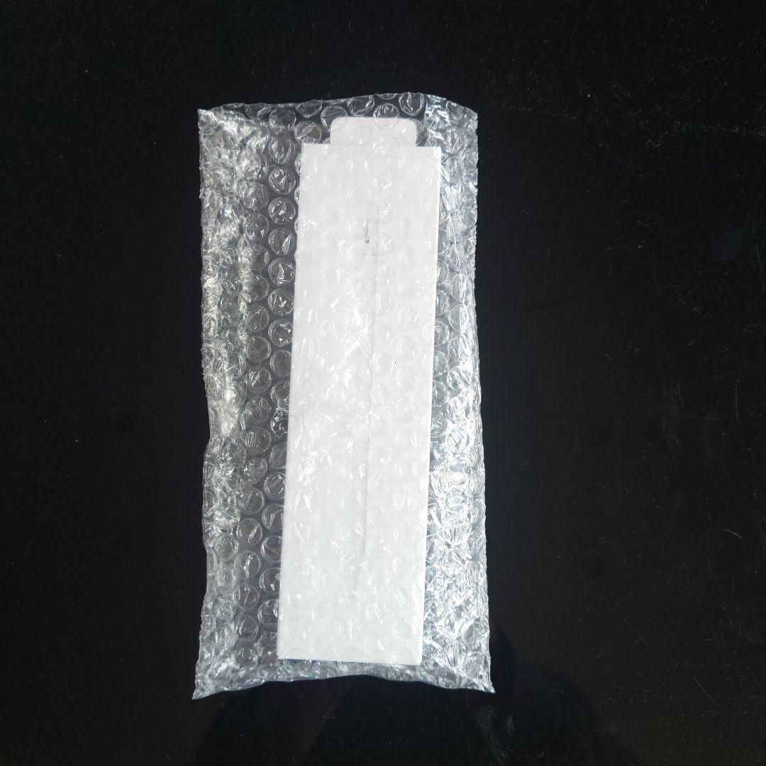 iPadアクセサリー Apple Pencil (USB-C)