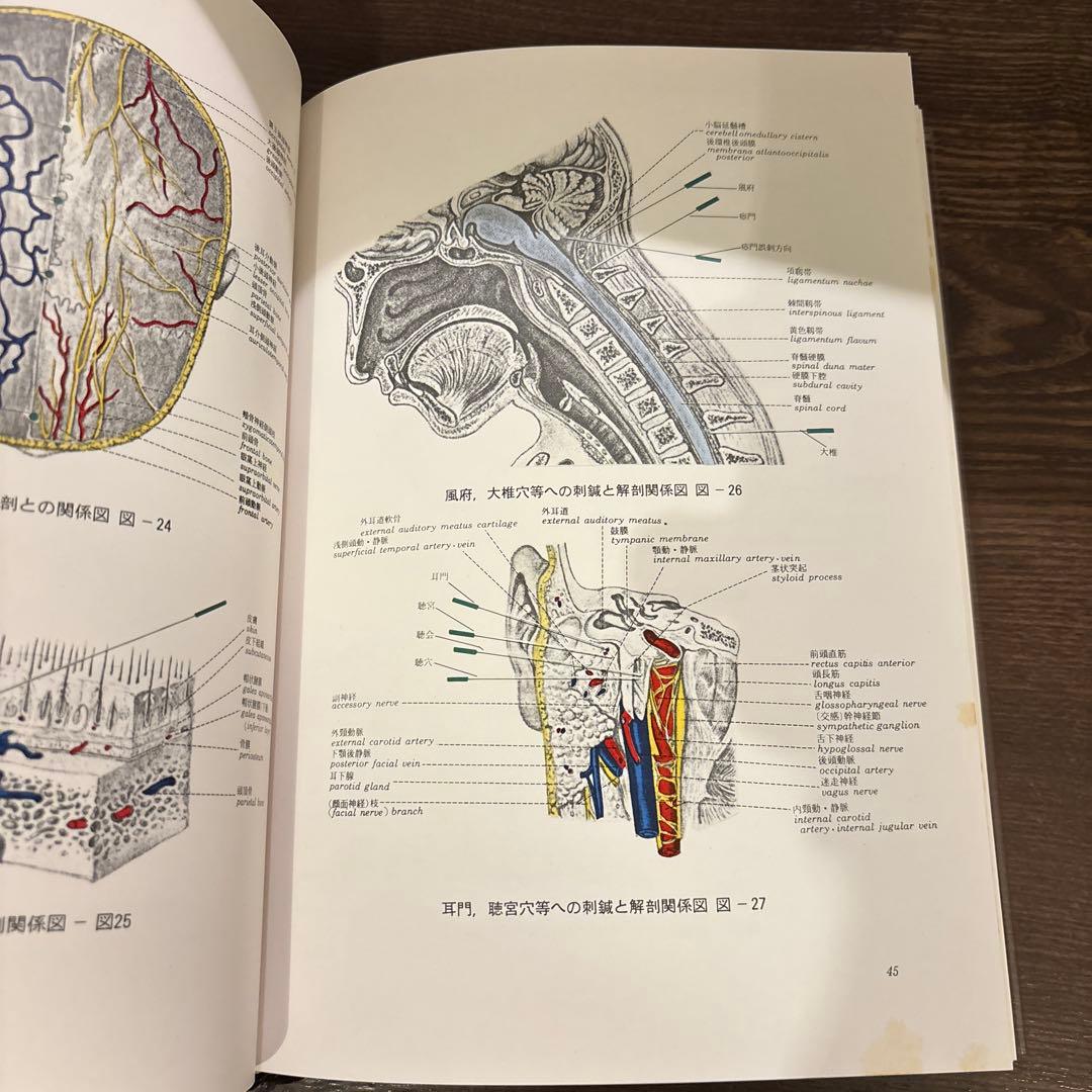 カラー版 鍼灸解剖図