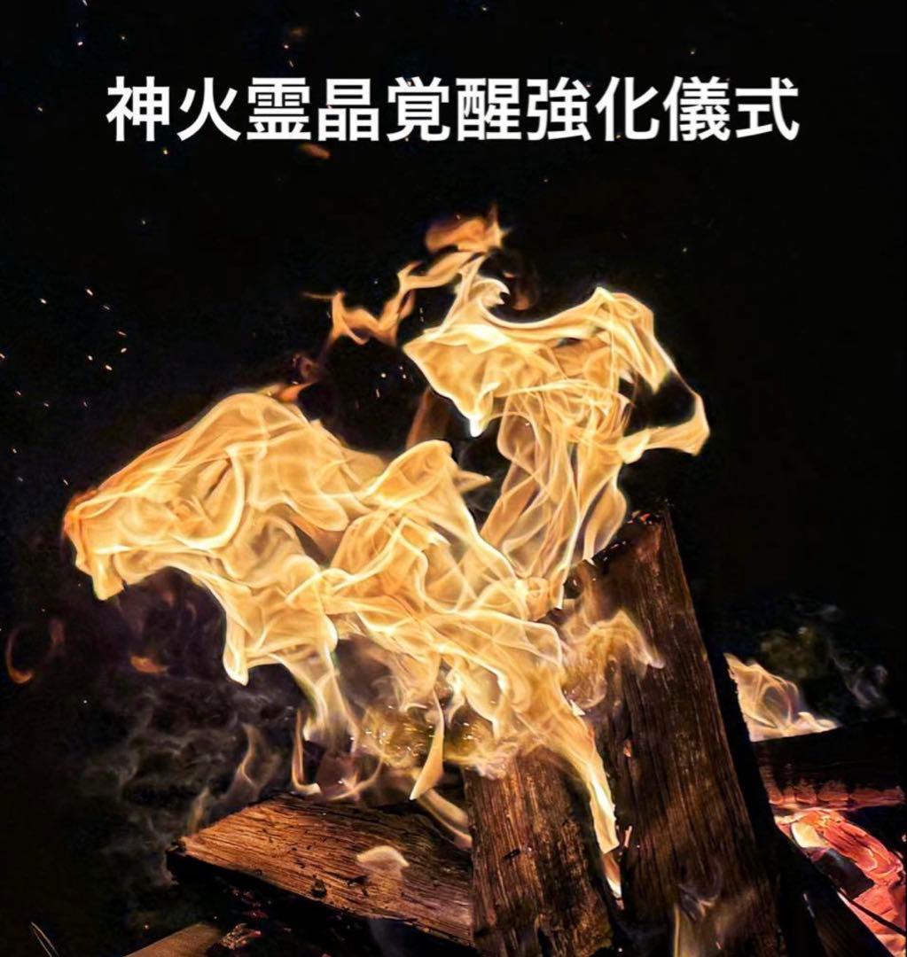 予約取り置き11月1日【超レア】ブラックルチル