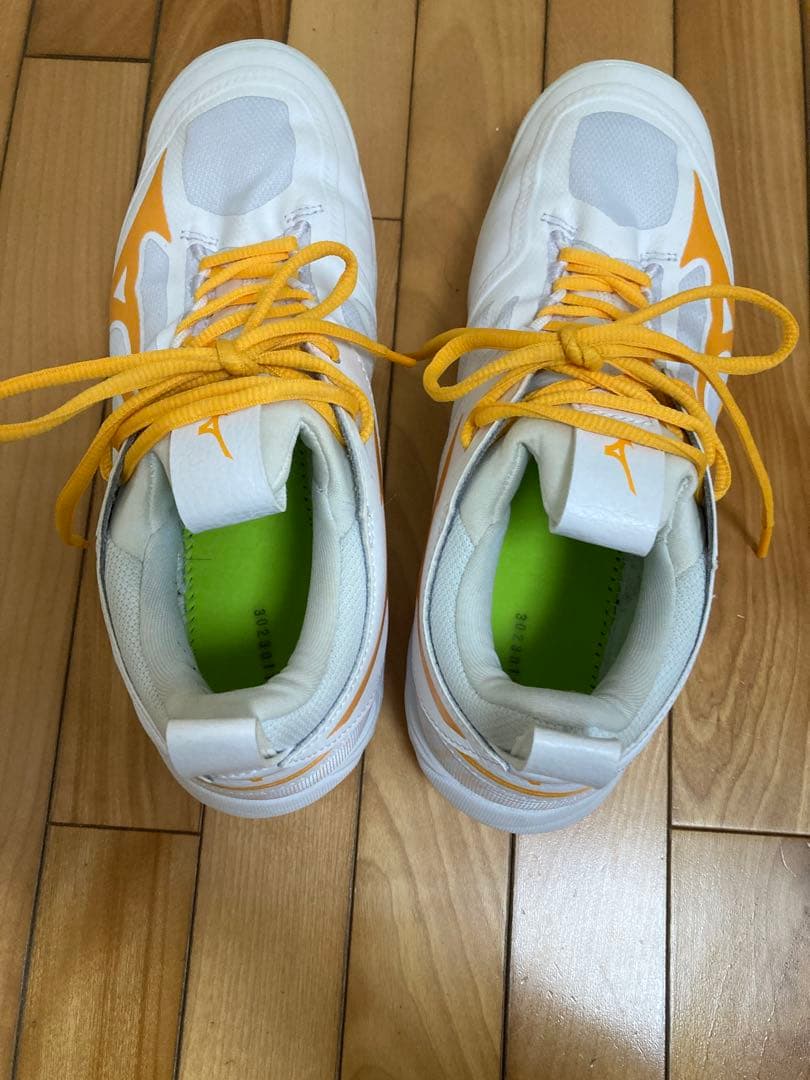 専用　WAVE MOMENTUM 2 バレーボールシューズ　26.0cm