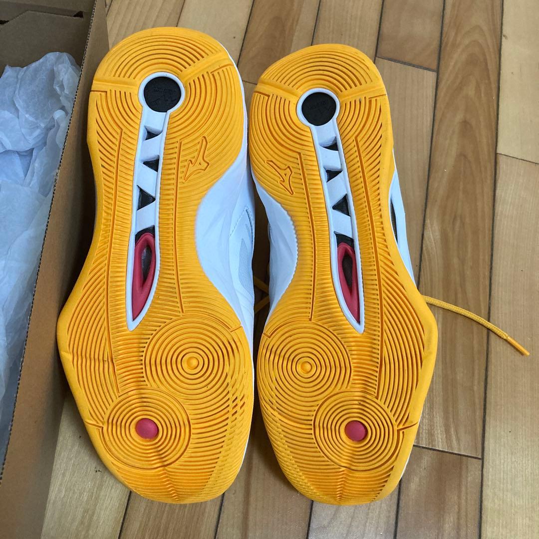 専用　WAVE MOMENTUM 2 バレーボールシューズ　26.0cm