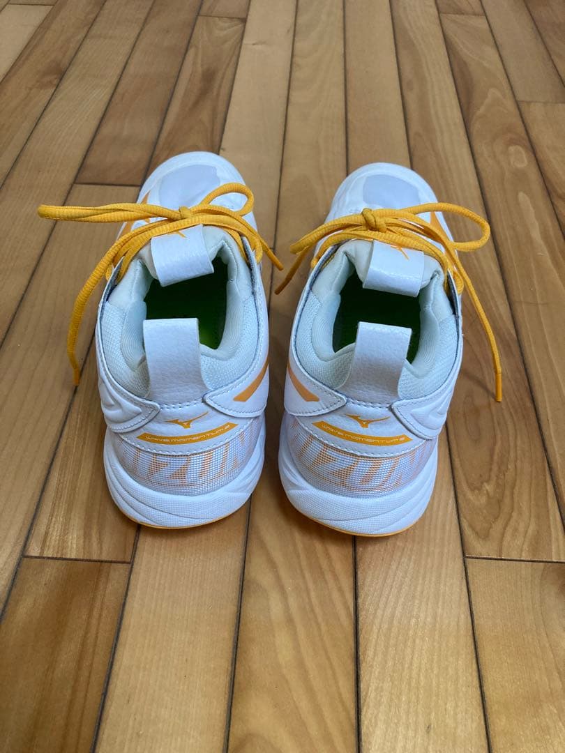 専用　WAVE MOMENTUM 2 バレーボールシューズ　26.0cm