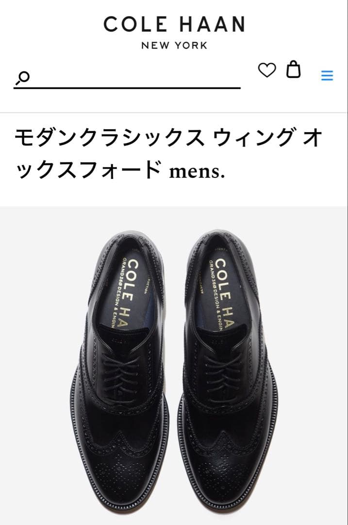 【数回使用程度】コールハーン ウイングチップ 黒 US8.5 定価46200円