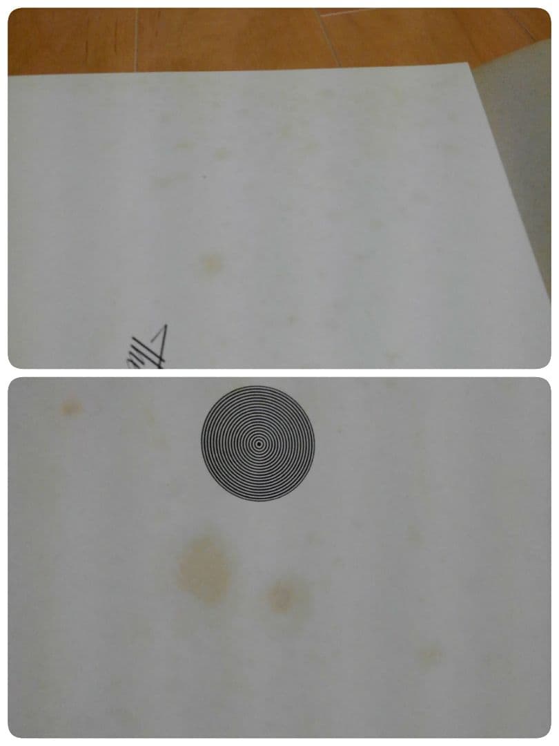 チェッカーズ　ツアーパンフレット　10冊　プラス　オマケ