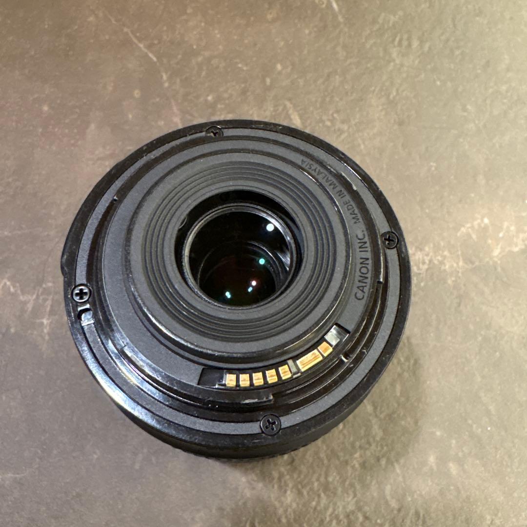 ◆Canon EF-S 55-250mm F4-5.6 IS STM◆望遠レンズ