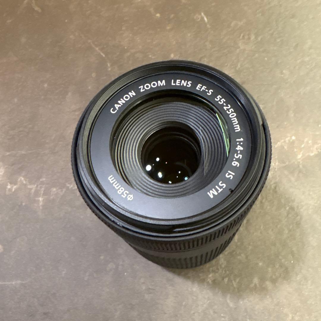 ◆Canon EF-S 55-250mm F4-5.6 IS STM◆望遠レンズ