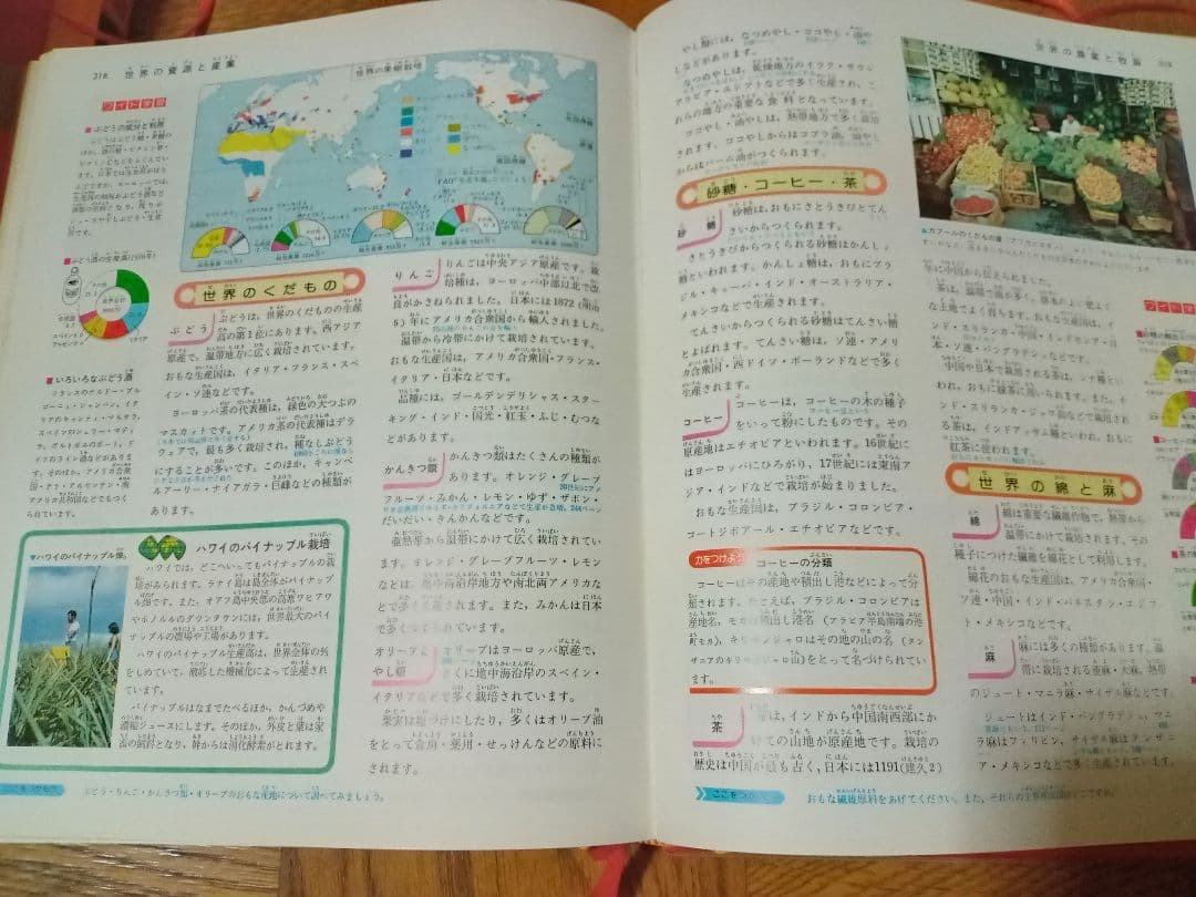 旺文社 教科別学習大辞典 小学生中学生向け教科別学習辞典