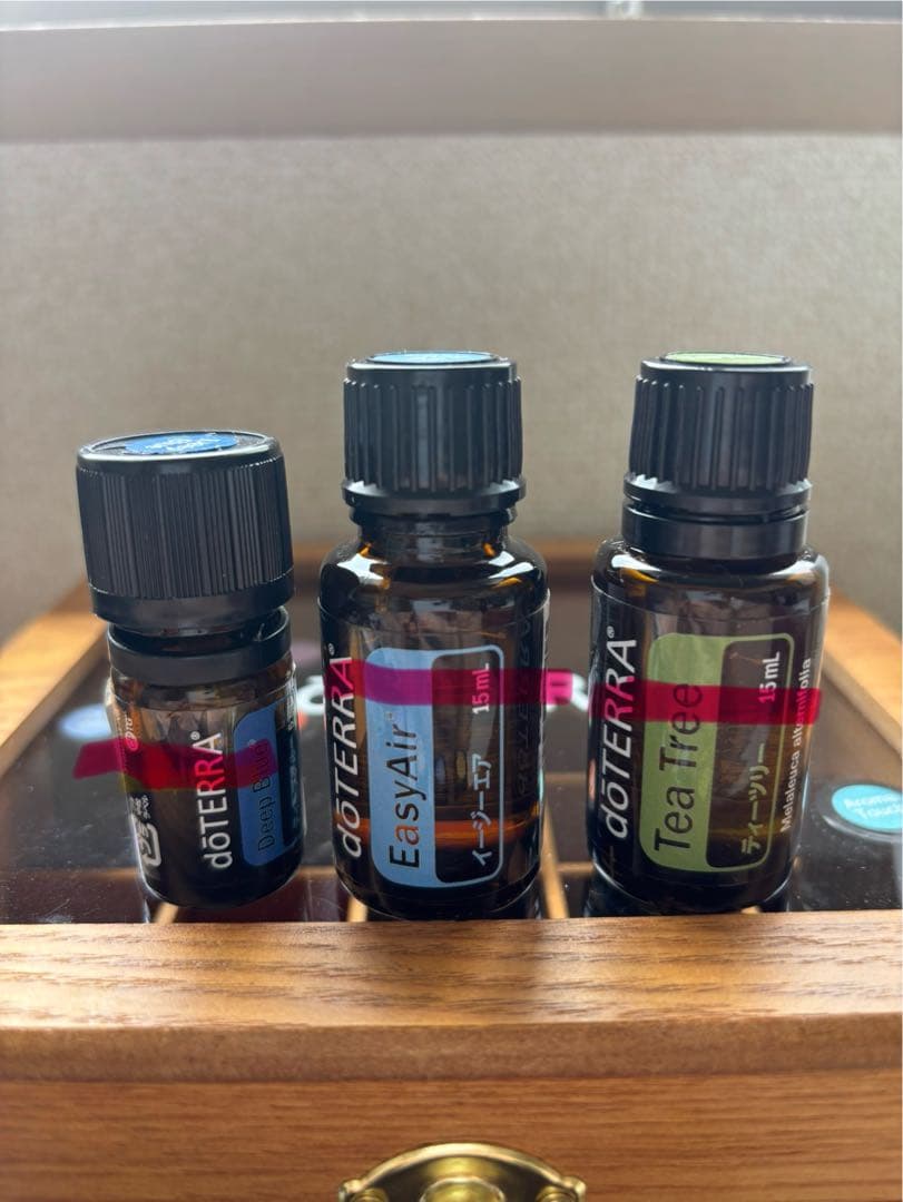 doTERRAドテラ森の音デラックス登録キット セット・オイル家庭医学事典