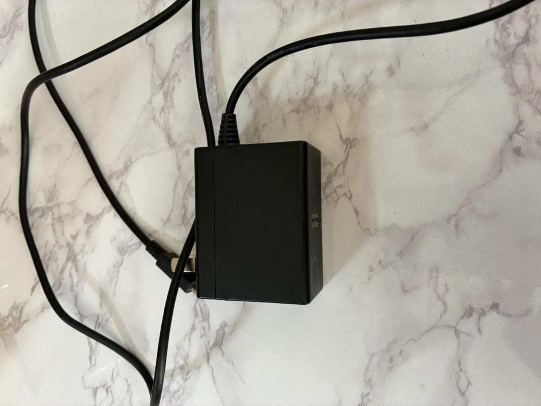 Nintendo Switch Lite 本体 純正ACアダプター付 動作確認済