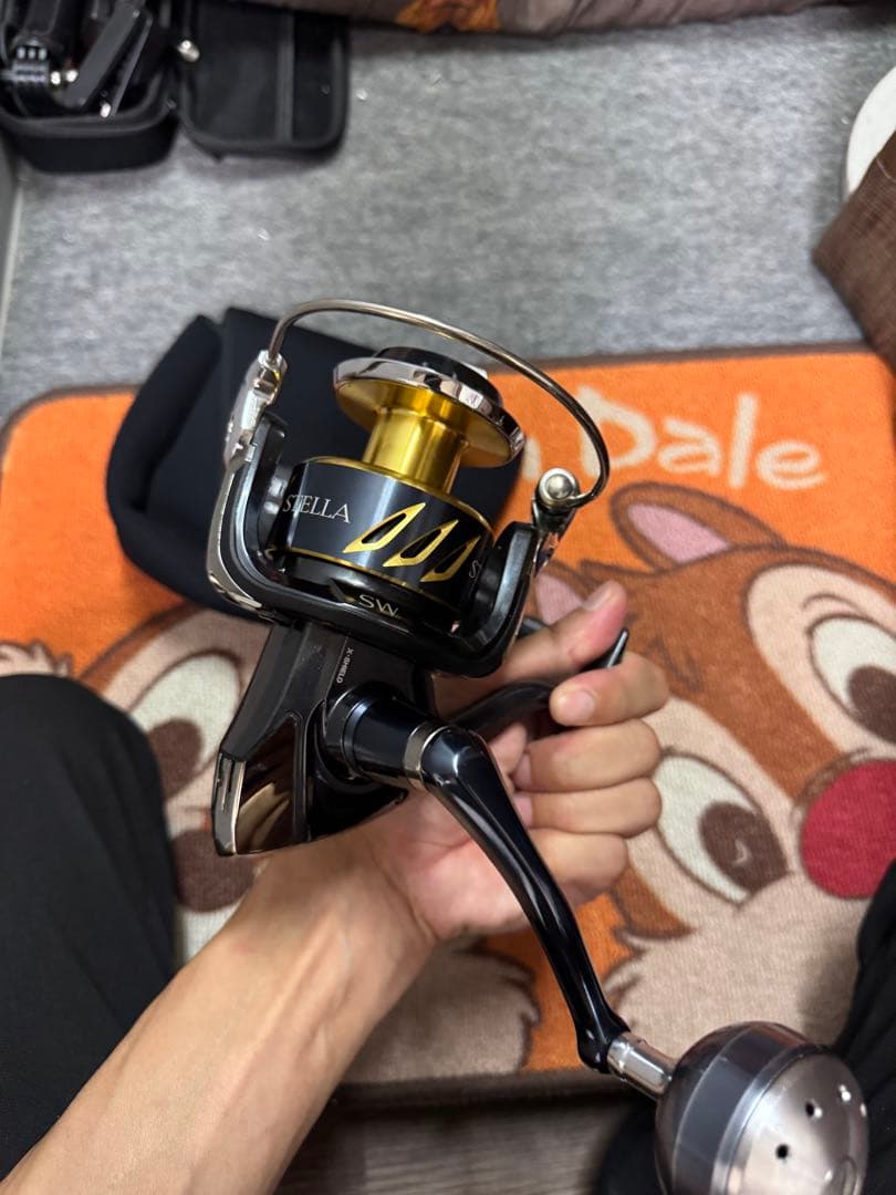 シマノ13ステラSW8000PG